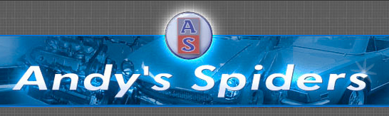 Photo of Andy's Spiders