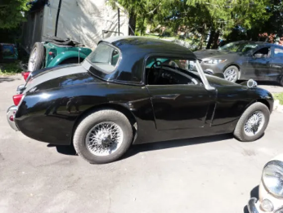 Vehicle Image 3 - 1959 Austin-Healey Bugeye Sprite