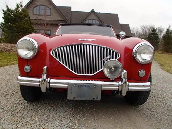 Vehicle Image 14 - 1956 Austin Healey BN2 Convertible