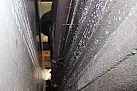 Thumbnail 1 - 1988 Jaguar VDP