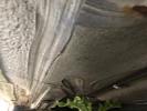 Thumbnail 1 - 1991 Audi Quattro Coupe 5 speed manual project car