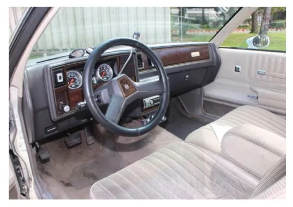 Vehicle Image 9 - 1984 Chevrolet Monte Carlo 2 door hardtop