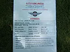 Thumbnail 3 - 1964 Austin Healey 3000 BJ8 PHASE 1