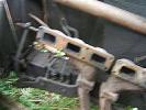 Thumbnail 18 - 1953 Jaguar XK120 Roadster Project