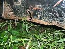 Thumbnail 23 - 1953 Jaguar XK120 Roadster Project