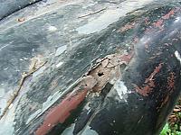 Thumbnail 25 - 1953 Jaguar XK120 Roadster Project
