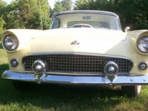 Vehicle Image 7 - 1955 Ford Thunderbird