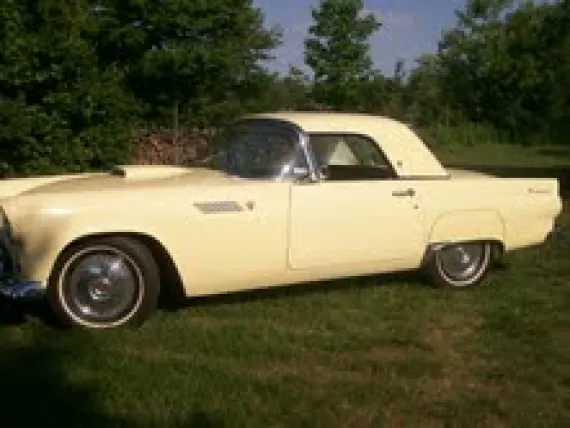 Vehicle Image 9 - 1955 Ford Thunderbird