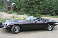 Thumbnail 2 - 1974 Jaguar XKE