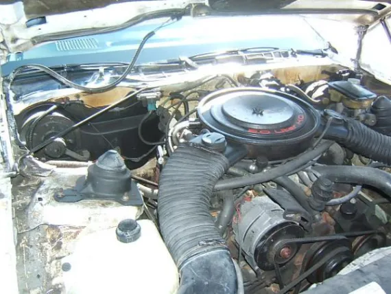 Vehicle Image 23 - 1984 Chevrolet Camaro Z28
