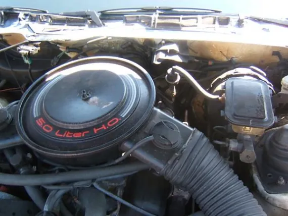Vehicle Image 24 - 1984 Chevrolet Camaro Z28