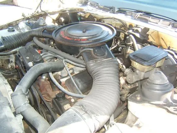 Vehicle Image 25 - 1984 Chevrolet Camaro Z28