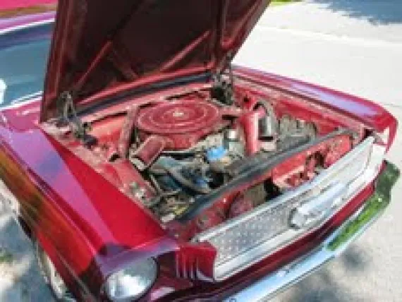 Vehicle Image 3 - 1966 Ford Mustang Coupe
