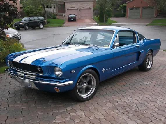 Vehicle Image 3 - 1965 Ford Mustang Fasback Hertz Clone
