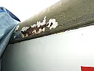 Thumbnail 10 - 1956 Dodge Power Wagon Ambulance