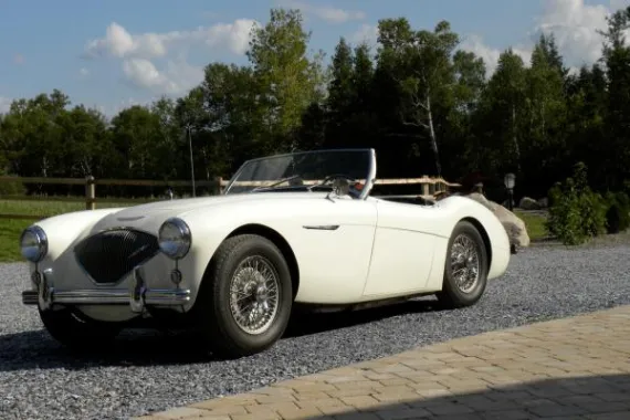 Vehicle Image 2 - 1956 Austin Healey 100/4