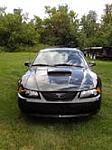 Thumbnail 7 - 2001 Ford Mustang Bullit
