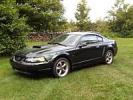 Thumbnail 8 - 2001 Ford Mustang Bullit