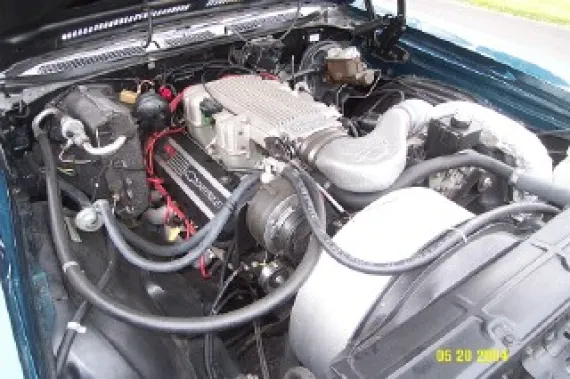 Vehicle Image 5 - 1972 Chevrolet Monte Carlo