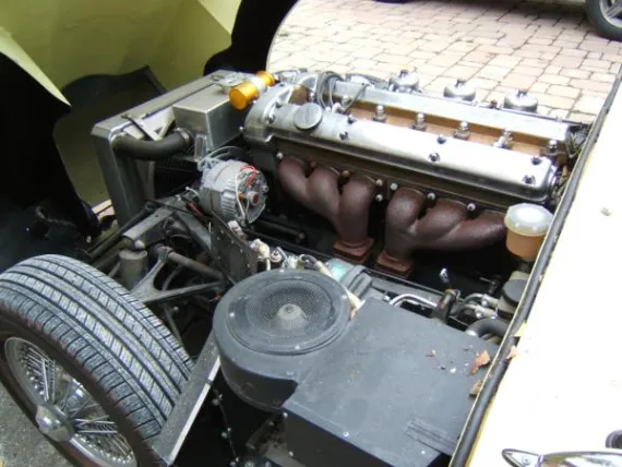 Vehicle Image 9 - 1964 Jaguar XKE Coupe