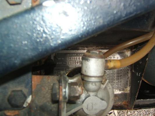 Vehicle Image 20 - 1962 Jaguar XKE Roadster Flat Floor