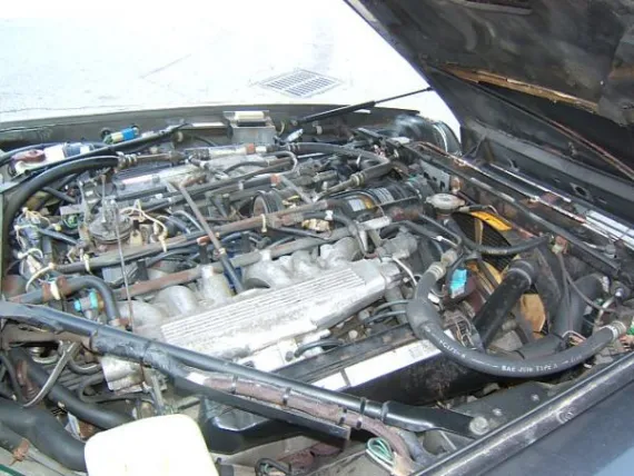 Vehicle Image 6 - 1988 Jaguar XJS