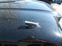 Thumbnail 3 - 1964 Ford Thunderbird Hardtop