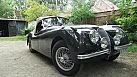 Thumbnail 14 - 1952 Jaguar XK120 Roadster