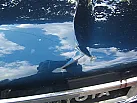 Thumbnail 4 - 1988 Toyota 4Runner SR5 V6 EFI