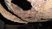Thumbnail 9 - 1967 Oldsmobile Cutlass Supreme Coupe