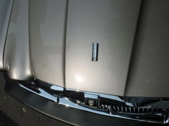 Vehicle Image 3 - 1987 Jaguar VDP