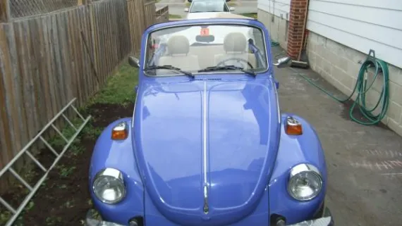 Vehicle Image 11 - 1978 Volkswagen Beetle Convertible