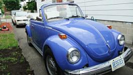 Thumbnail 12 - 1978 Volkswagen Beetle Convertible