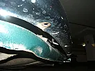 Thumbnail 1 - 1965 Mercedes-Benz 220 4 Speed