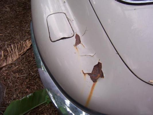 Vehicle Image 6 - 1970 Jaguar XKE Coupe