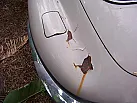 Thumbnail 6 - 1970 Jaguar XKE Coupe