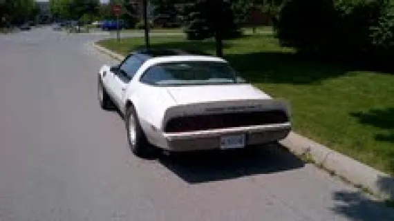 Vehicle Image 2 - 1980 Pontiac Trans Am