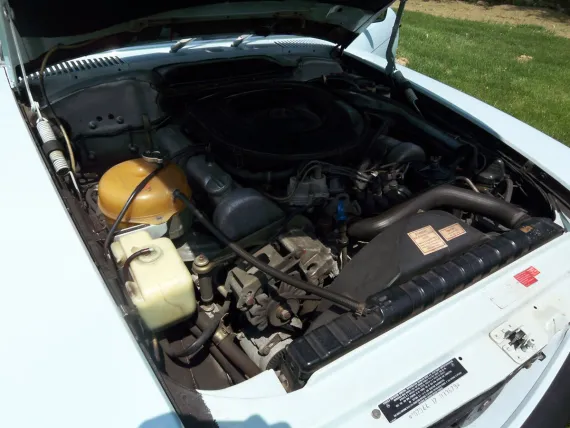 Vehicle Image 17 - 1976 Mercedes Benz 450 SL