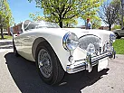 Thumbnail 15 - 1955 Austin Healey 100/4