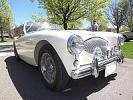 Thumbnail 15 - 1955 Austin Healey 100/4