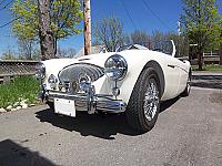 1955 Austin Healey 100/4