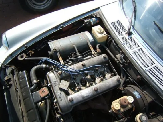 Vehicle Image 6 - 1979 Alfa Romeo Spyder