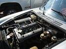 Thumbnail 7 - 1979 Alfa Romeo Spyder