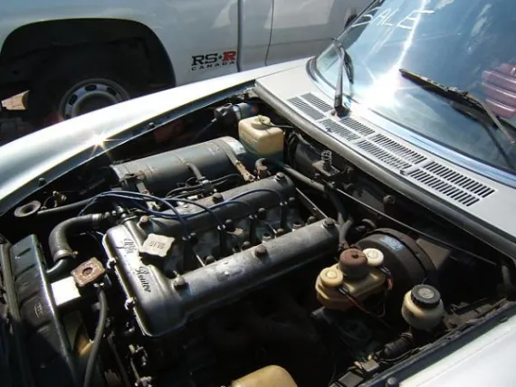 Vehicle Image 7 - 1979 Alfa Romeo Spyder