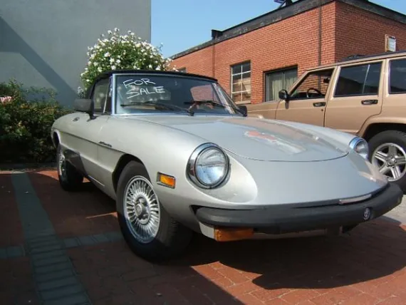 Vehicle Image 22 - 1979 Alfa Romeo Spyder