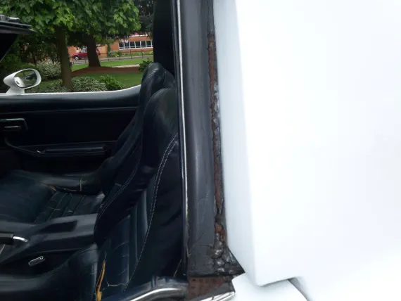 Vehicle Image 14 - 1981 Chevrolet Corvette