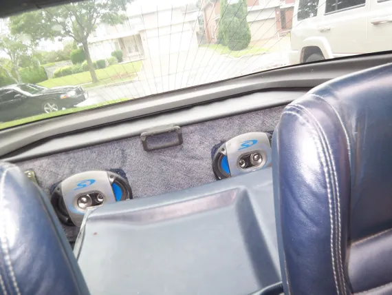 Vehicle Image 15 - 1981 Chevrolet Corvette