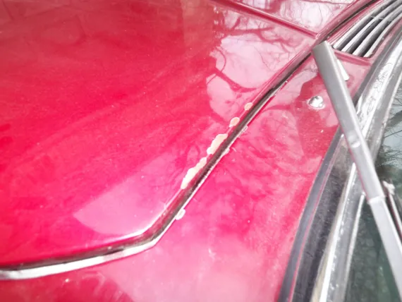Vehicle Image 22 - 1974 Jensen Interceptor III