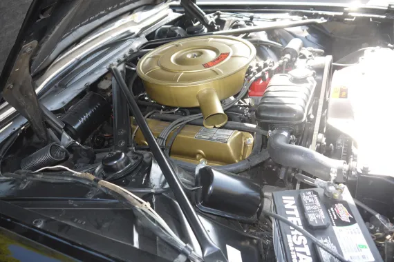 Vehicle Image 9 - 1965 Ford Thunderbird Convertible