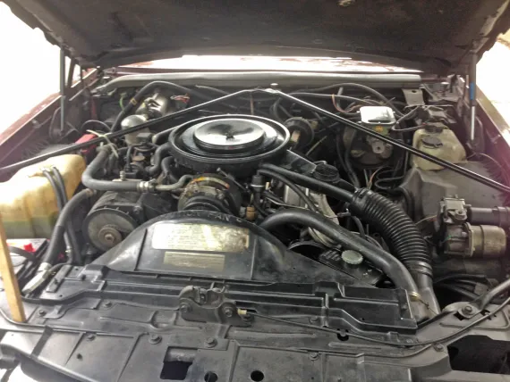 Vehicle Image 8 - 1984 Cadillac Seville